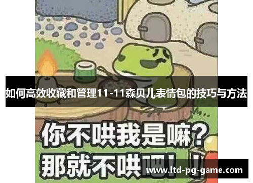 如何高效收藏和管理11-11森贝儿表情包的技巧与方法