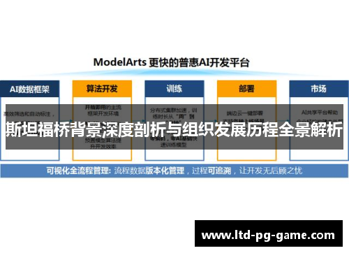斯坦福桥背景深度剖析与组织发展历程全景解析 斯坦福桥背景深度剖析与组织发展历程全景解析