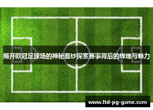 揭开欧冠足球场的神秘面纱探索赛事背后的辉煌与魅力