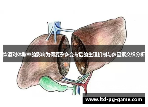 饮酒对体脂率的影响为何复杂多变背后的生理机制与多因素交织分析